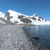 Plants: image2 1 Of 208 Thumb